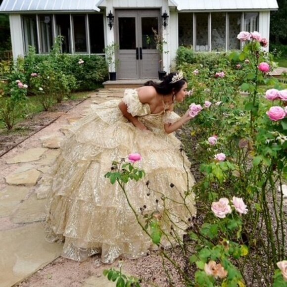 Quinceanera/Sweet 16 Dress